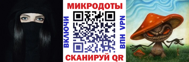 Галлюциногенные грибы Psilocybe  Кемь 